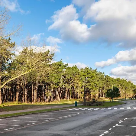 Appartamento - Animaux Et Wifi - Fr-1-821-51