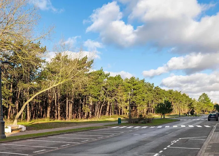 Appartamento - Animaux Et Wifi - Fr-1-821-51