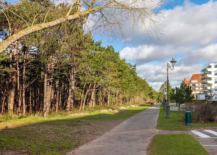 - Animaux Et Wifi - Fr-1-821-51 Le Touquet